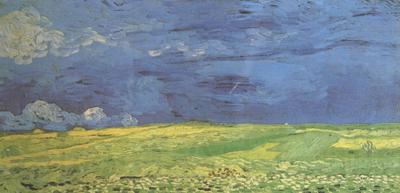 Vincent Van Gogh Wheat Field under Clouded Sky (nn04) Spain oil painting art